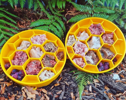 Raw Feeding For Dogs
