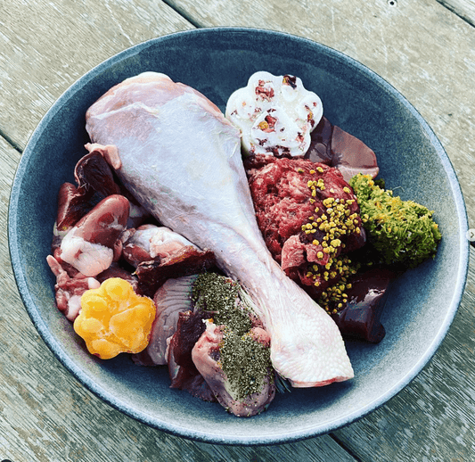 FEEDING BONES IN THE RAW DIET