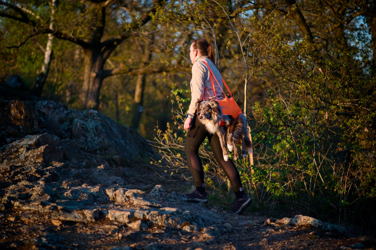 Emergency Rescue Dog Sling - Non-Stop Dogwear