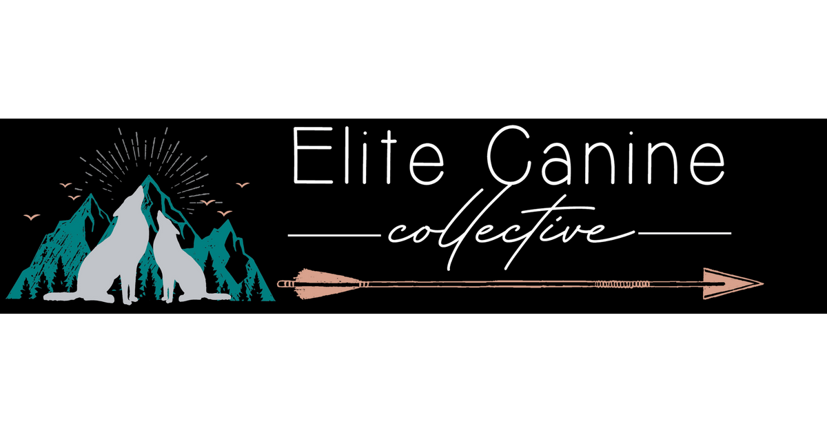 Elite Canine Collective Doggy Daycare