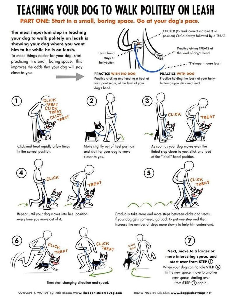 Loose Leash Walking