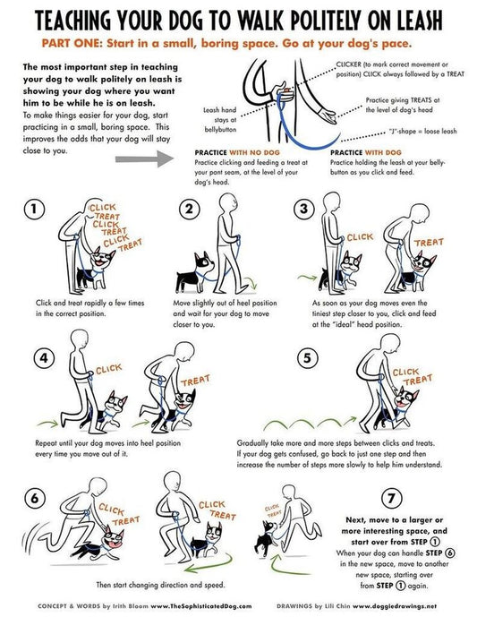 Loose Leash Walking