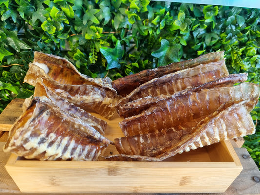 Beef Trachea Chews