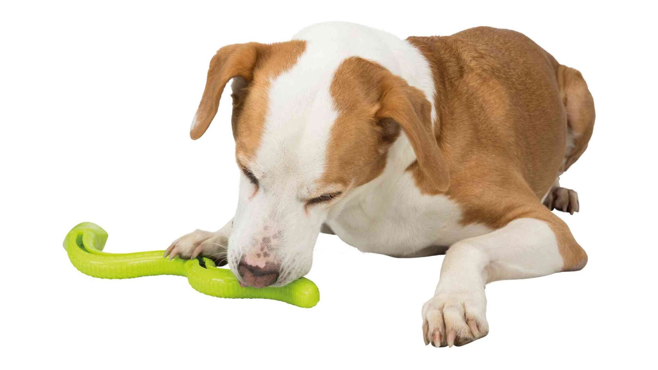Trixie Snack Snake - 42cm