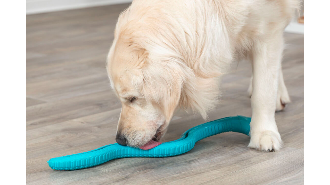 Trixie Snack Snake - 59cm