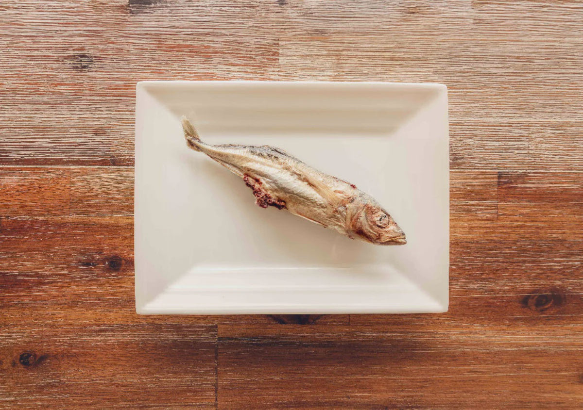 Mackerel - Whole, Freeze Dried