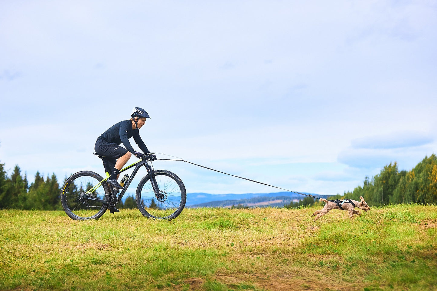 Bike Antenna Bikejoring