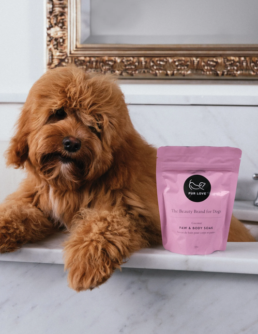 Fur Love Paw & Body Soak - 100g