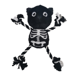 Spooktacular Cat
