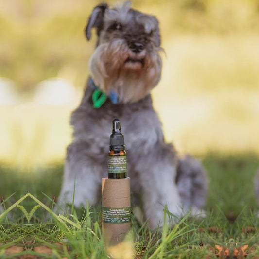 Anxiety Essential Oil Blend & Diffuser