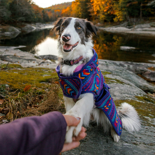 Wilderdog Big Sky Fleece Jacket